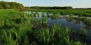 ufer-wasser-jurecek-klein-04