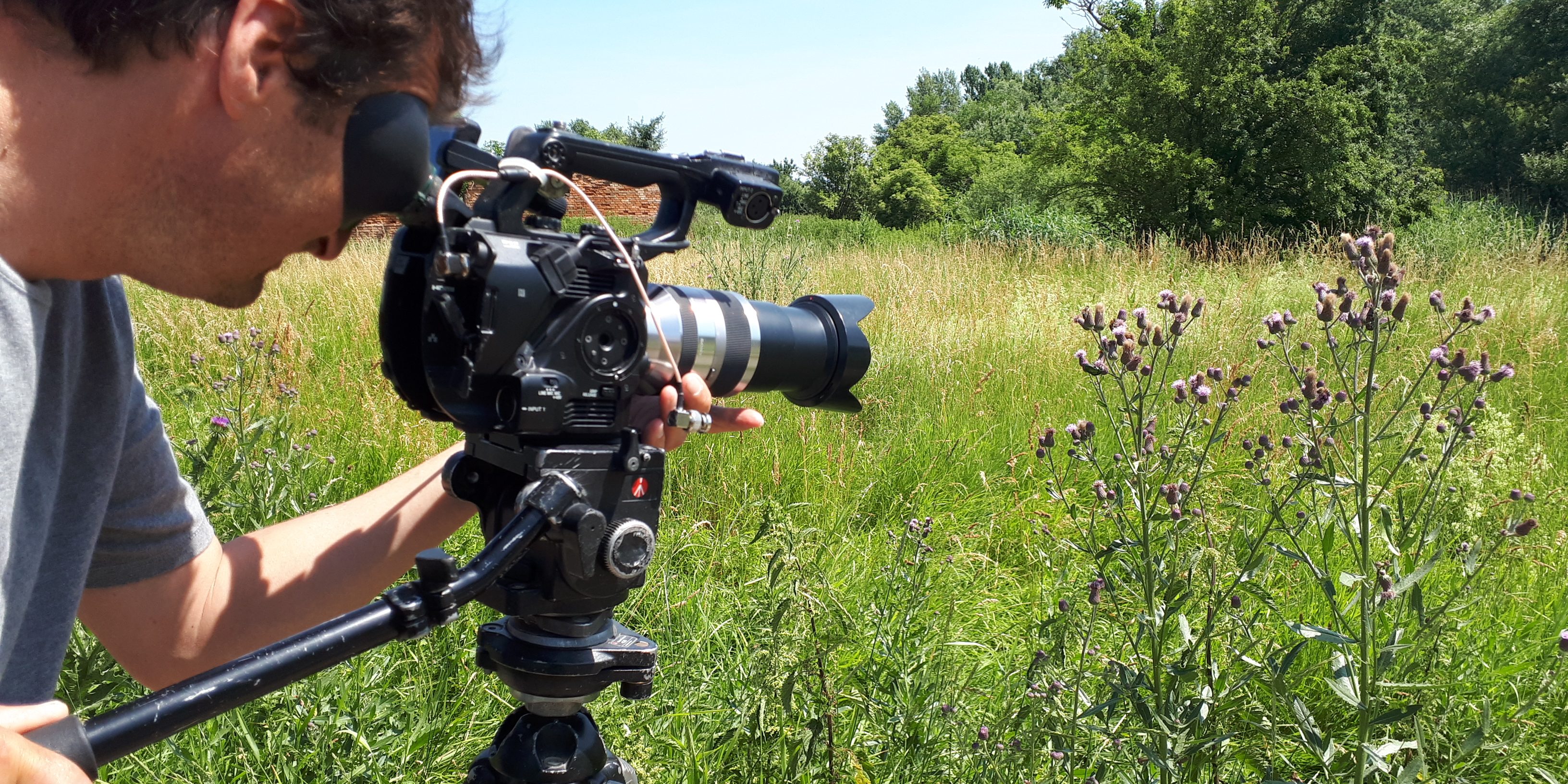 We are filming a documentary nature conservation in agricultural landscapes - BROZ