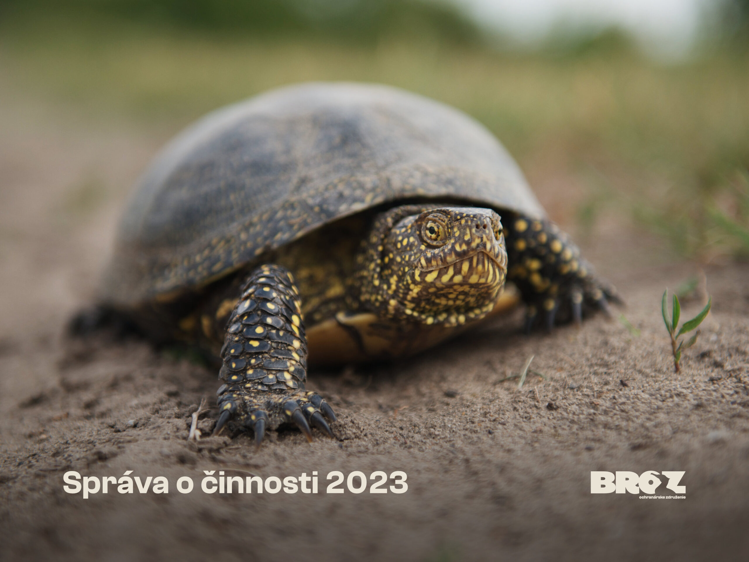 Správa o činnosti 2023