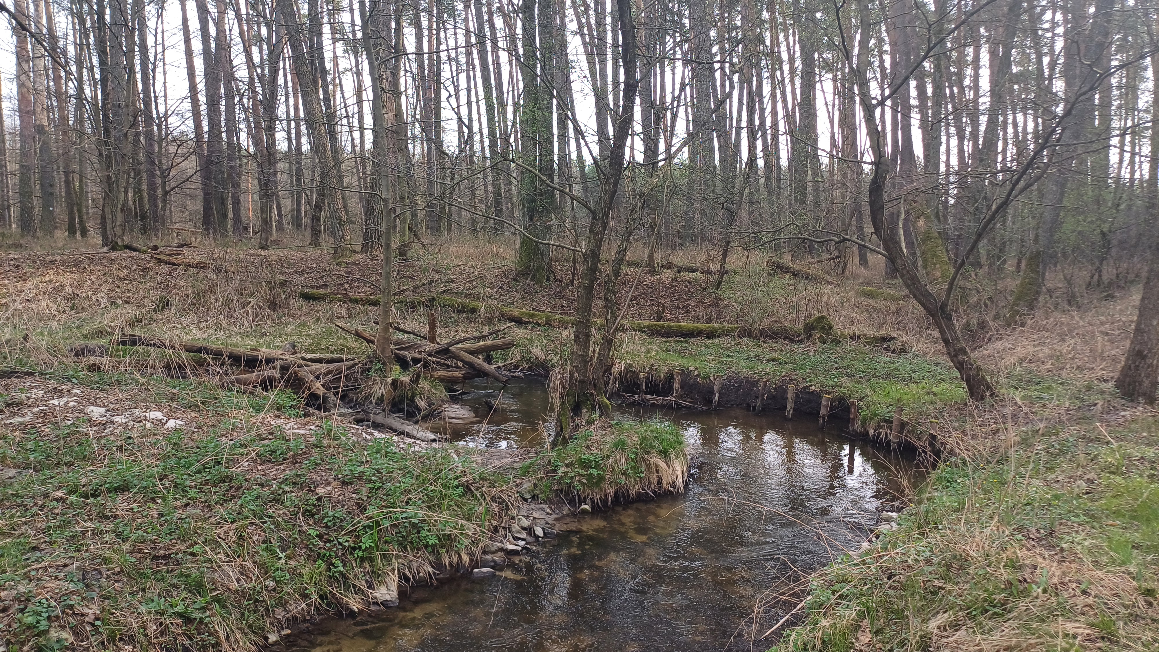Pohľad na úsek existujúceho rybovodu na Rudave