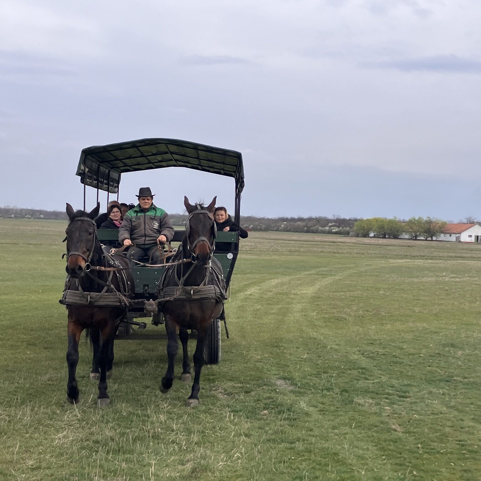 Aj sme sa povozili na konskom záprahu.