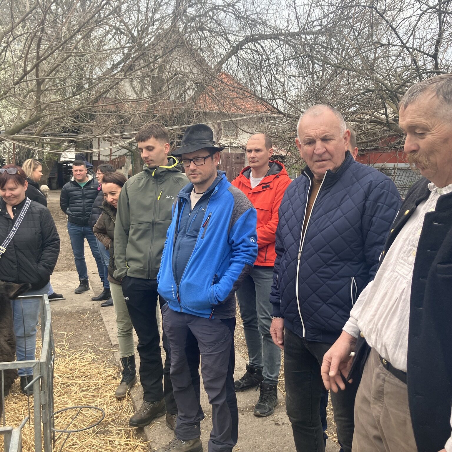 Na biofarme chovali rôzne druhy zveirat, kravy, ošípané aj mangalice.