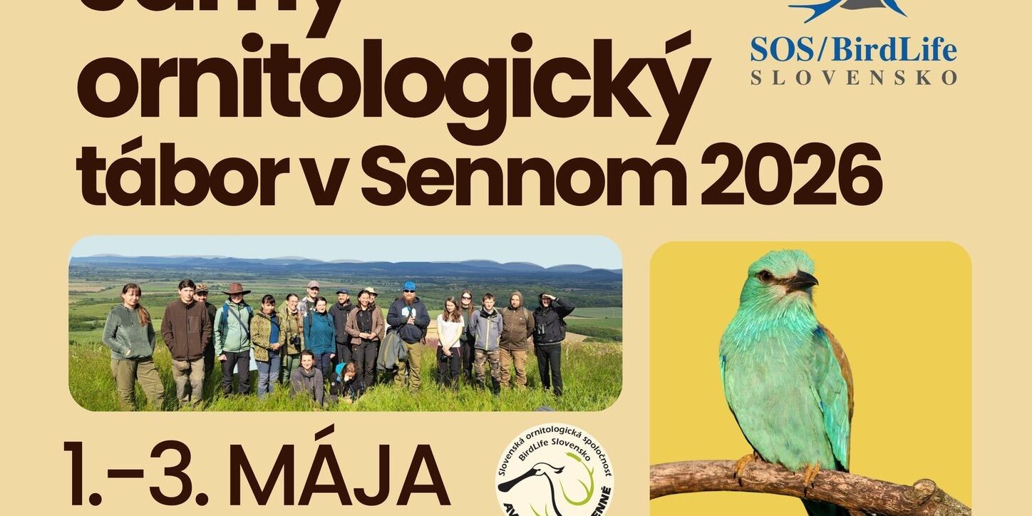 Jarný ornitologický tábor 2026