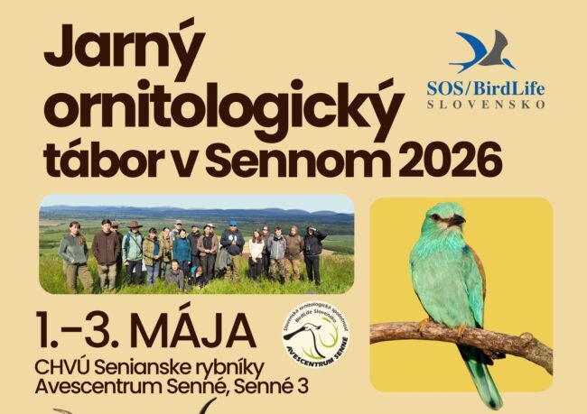 Jarný ornitologický tábor 2026