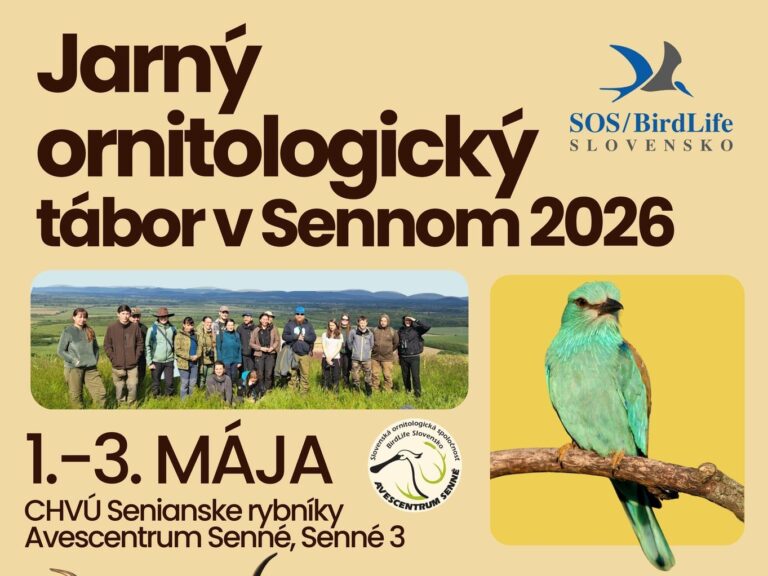 Jarný ornitologický tábor 2026
