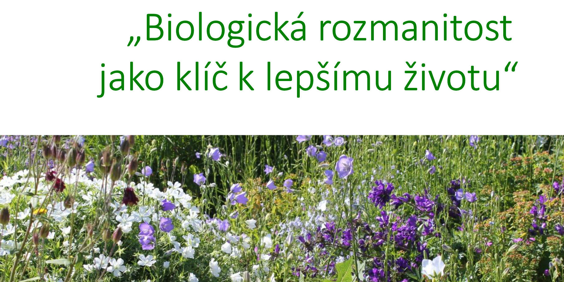 prezentovanie projektu Interreg BIOROZ