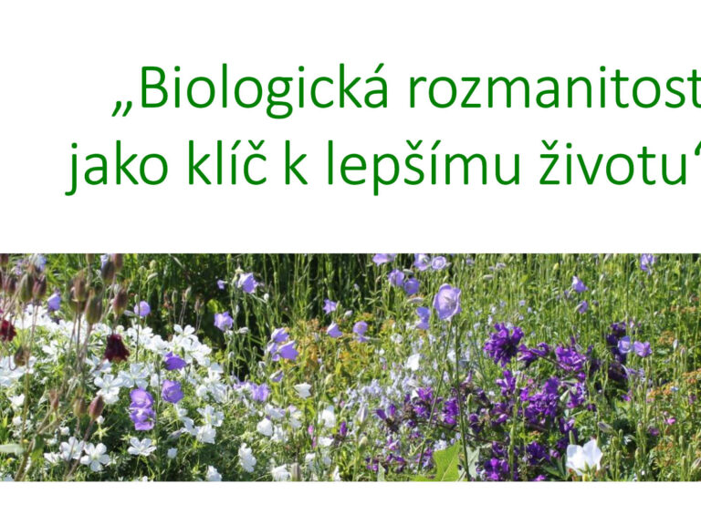 prezentovanie projektu Interreg BIOROZ