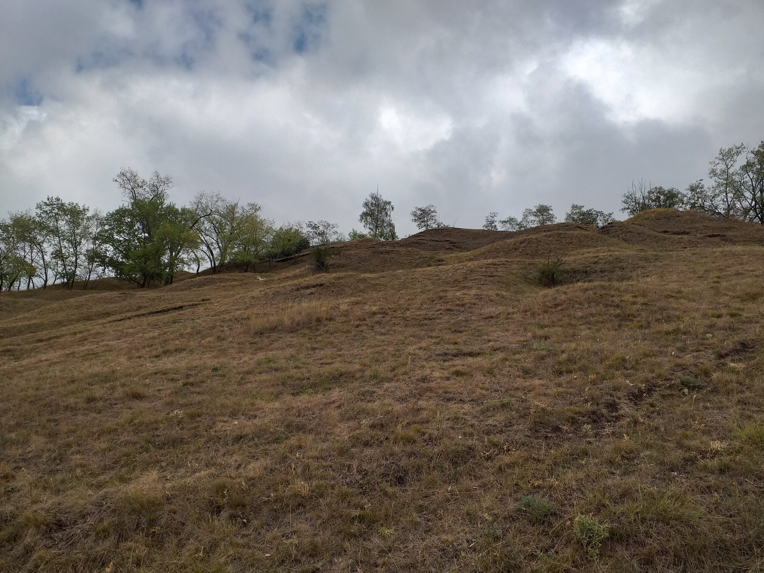 PP Kobylská skála PP Kobylská skála
